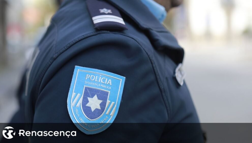 Adolescente de 14 anos reconhecido em Ermesinde por suspeita de incêndio florestal