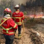 Cientistas descobrem o sistema GPS secreto do cérebro