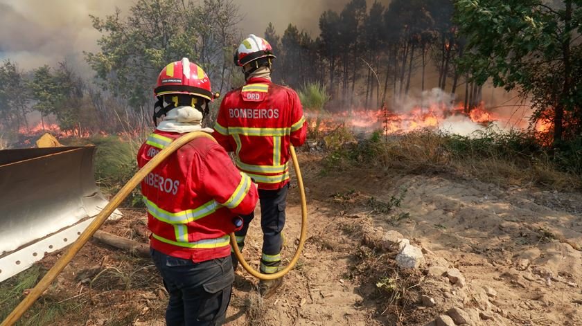Incêndios: Agricultores pedem rapidez na distribuição dos primeiros apoios financeiros