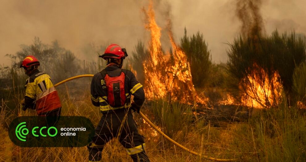 Governo destina 50 mil euros a bombeiros de concelhos afetados pelos incêndios