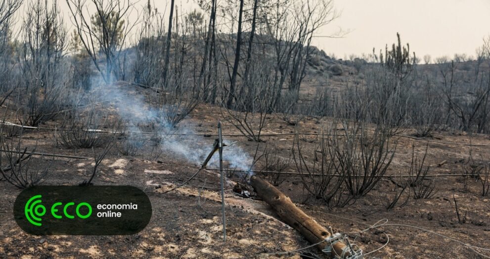 Incêndio destrói seis casas de segunda habitação em Seia