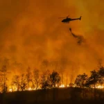 Temido Estremeceu: Isenção de Taxas Moderadoras Para Doentes Não Referenciados Devido a Incêndios