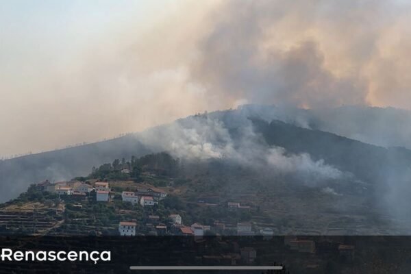 Fogo em Seia: Seis Moradias Secundárias Consumidas e Avaliação de Danos em Andamento