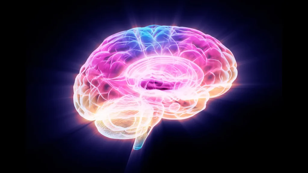 Cientistas descobrem proteína que reverte o envelhecimento cerebral