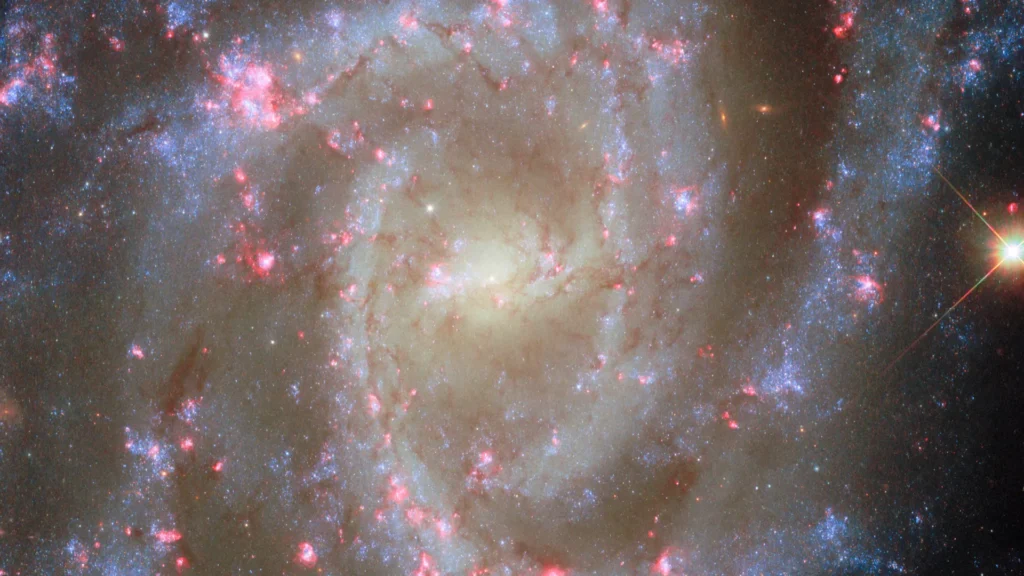 Deslumbrantes flores de galáxias com nebulosas rosas na nova imagem do Hubble