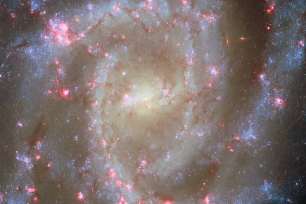 Deslumbrantes flores de galáxias com nebulosas rosas na nova imagem do Hubble