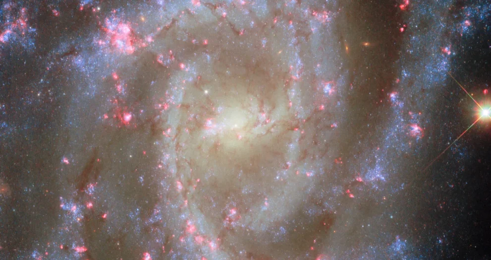 Deslumbrantes flores de galáxias com nebulosas rosas na nova imagem do Hubble