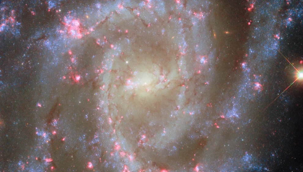 Deslumbrantes flores de galáxias com nebulosas rosas na nova imagem do Hubble