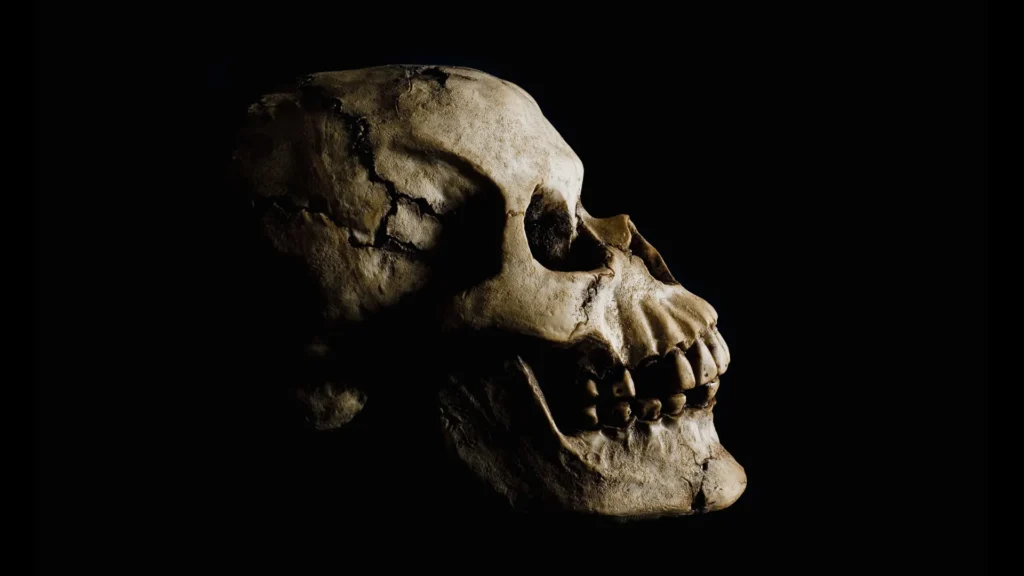 Descoberta de fósseis antigos na Etiópia reescreve a origem humana