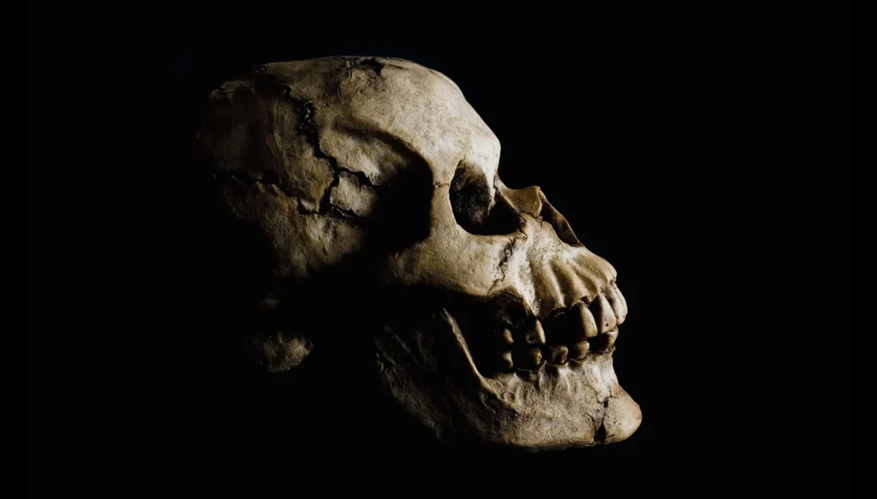 Descoberta de fósseis antigos na Etiópia reescreve a origem humana