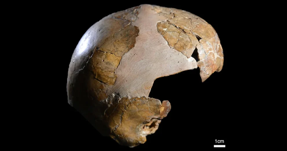 Esqueleto de 140.000 anos revela o primeiro cruzamento entre humanos e Neandertais
