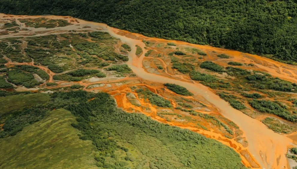 Por que os riachos de salmão do Alasca estão repentinamente sangrando laranja