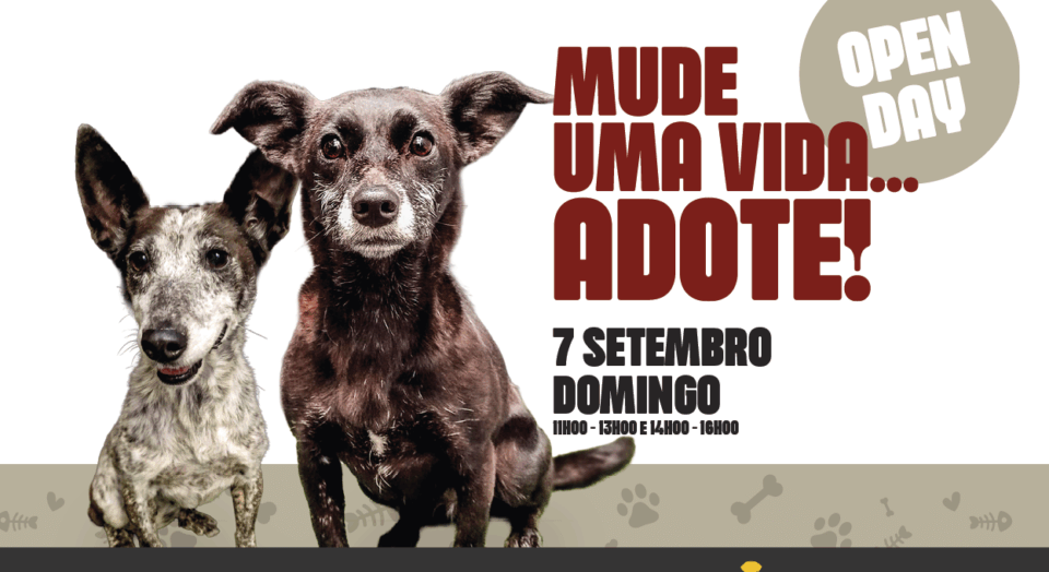 Canil Municipal Promove “Dia de Portas Abertas” Neste Domingo