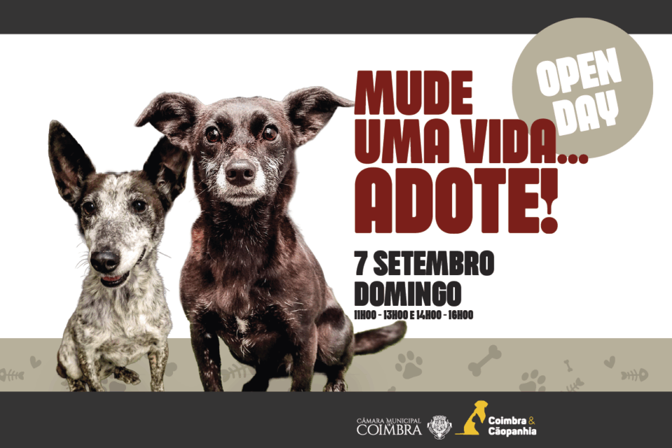 Canil Municipal Promove “Dia de Portas Abertas” Neste Domingo