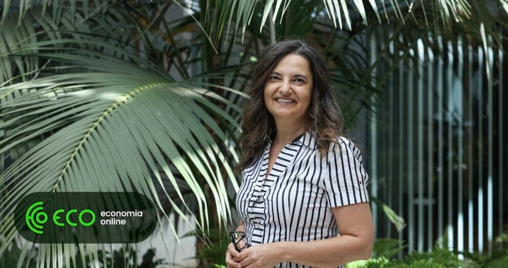 Investigadora: Verificação de factos demora a responder à desinformação