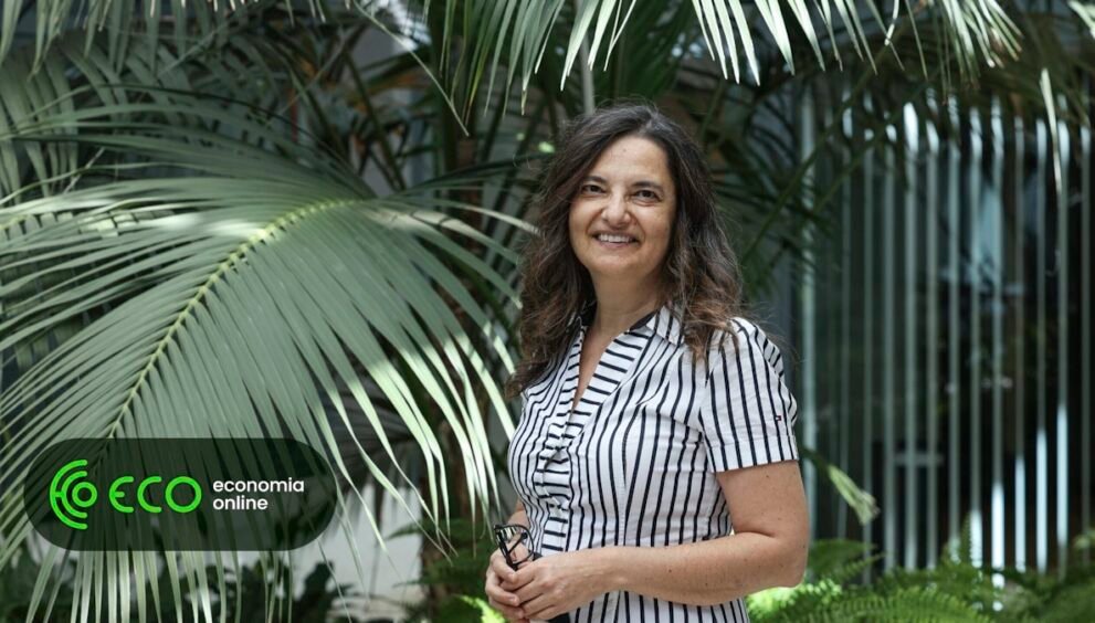 Investigadora: Verificação de factos demora a responder à desinformação