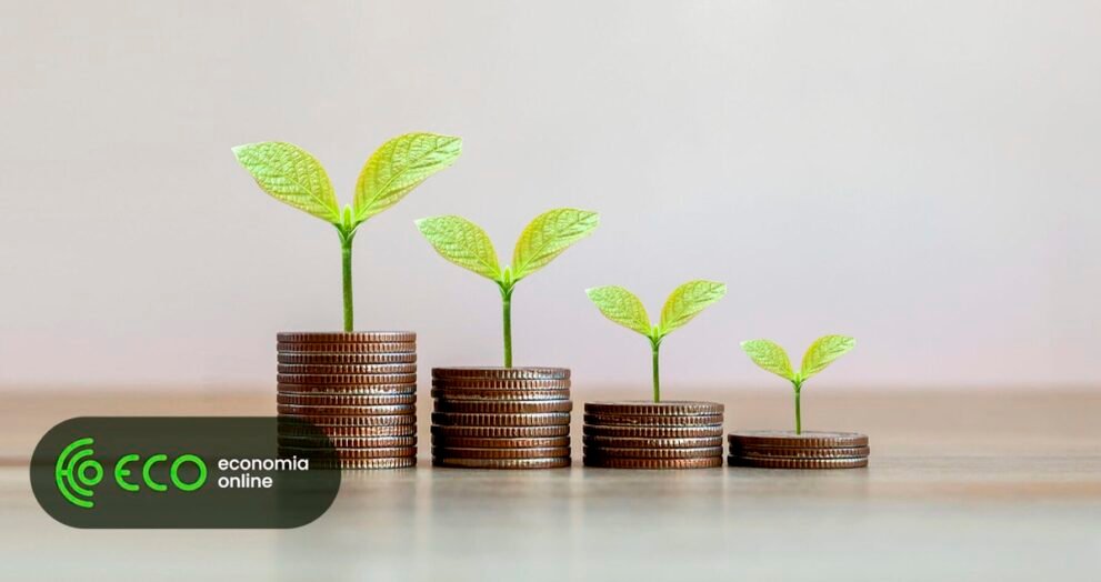 Investidores Atentos ao ESG: Desafios em Dados e Relatórios