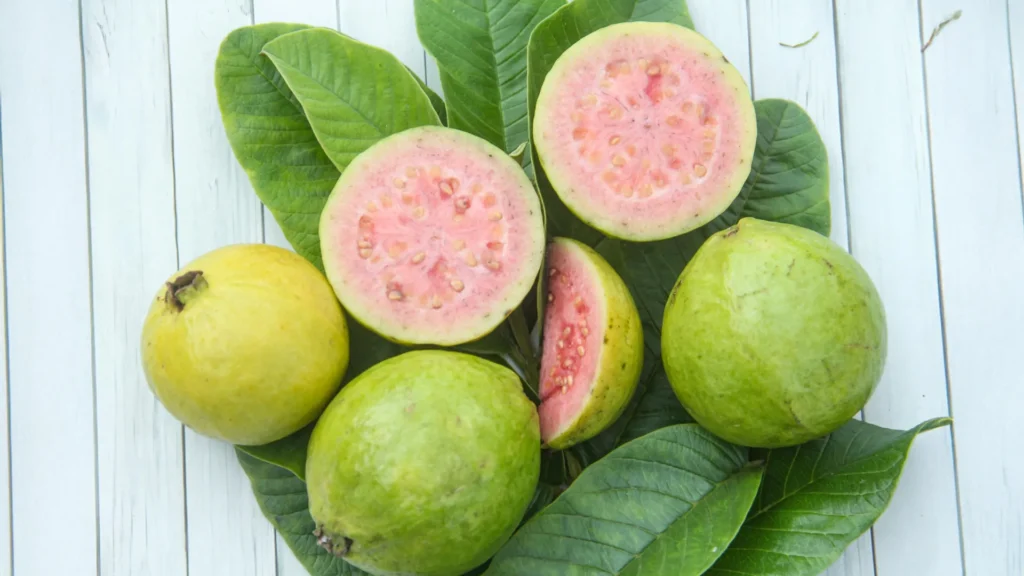 A molécula secreta da guava pode combater o câncer de fígado