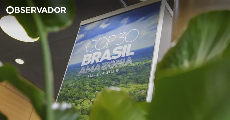 Blue Azores se junta ao grupo de trabalho da COP30