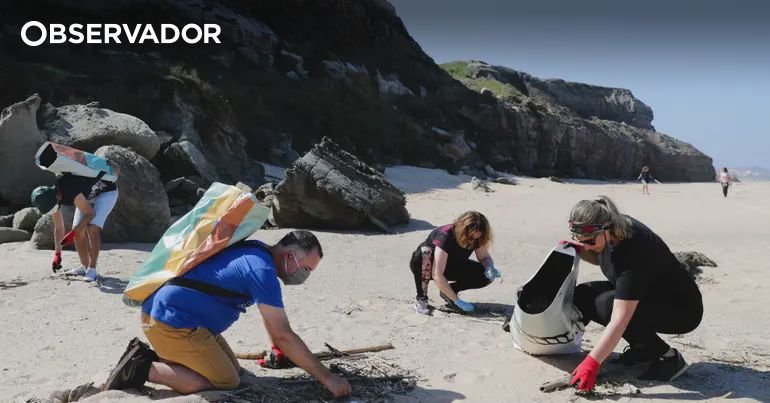 Mais de 100 Organizações Comemoram o Dia da Limpeza Costeira na Próxima Semana