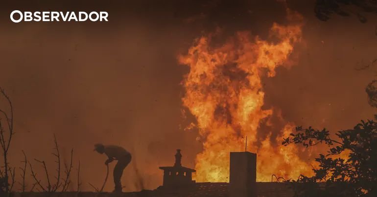 Psicólogos da Linha SOS Criança Apoiam Vítimas de Incêndios