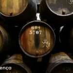 CM de Coimbra e CoimbraMaisFuturo Realizam Sessão sobre Apoios ao Investimento Agrícola e Local