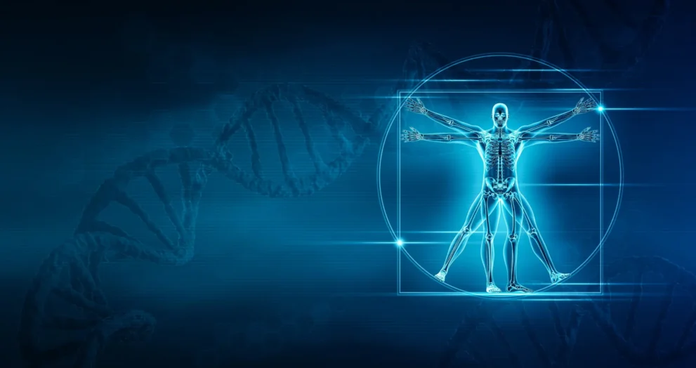 Cientistas Estão se Aproximando do DNA de Leonardo da Vinci