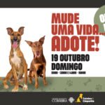 Cabo Verde finalmente rumo ao Mundial: “Levou tempo, mas enfim o dia inesquecível