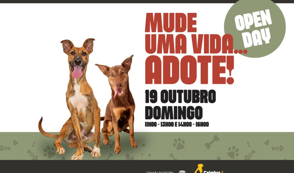Canil Municipal Promove "Dia Aberto" no Próximo Domingo