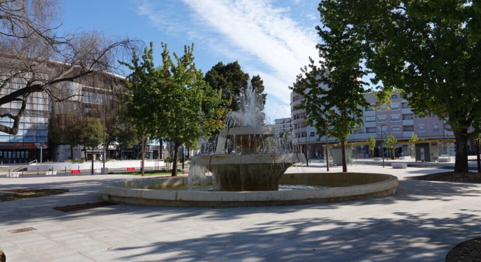 Coimbra ilumina-se de verde em homenagem ao Dia Internacional da Síndrome de Phelan-McDermid