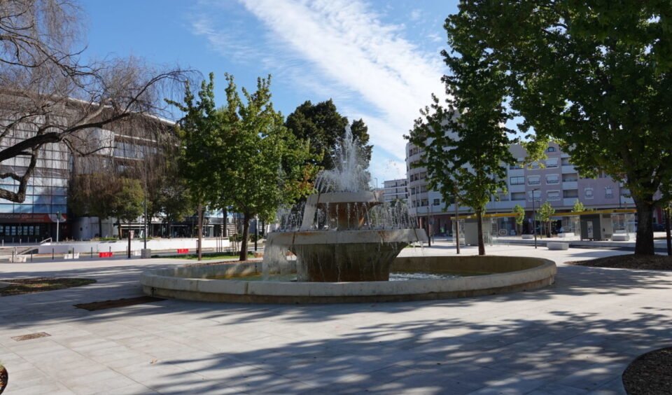 Coimbra ilumina-se de verde em homenagem ao Dia Internacional da Síndrome de Phelan-McDermid