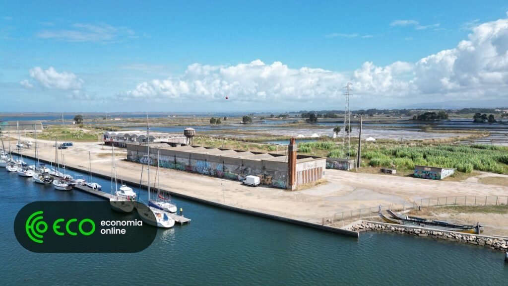 Aveiro aprova projeto de execução do loteamento da antiga Lota
