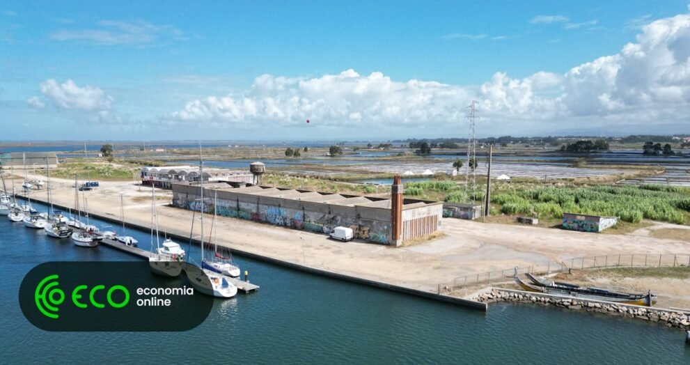 Aveiro aprova projeto de execução do loteamento da antiga Lota