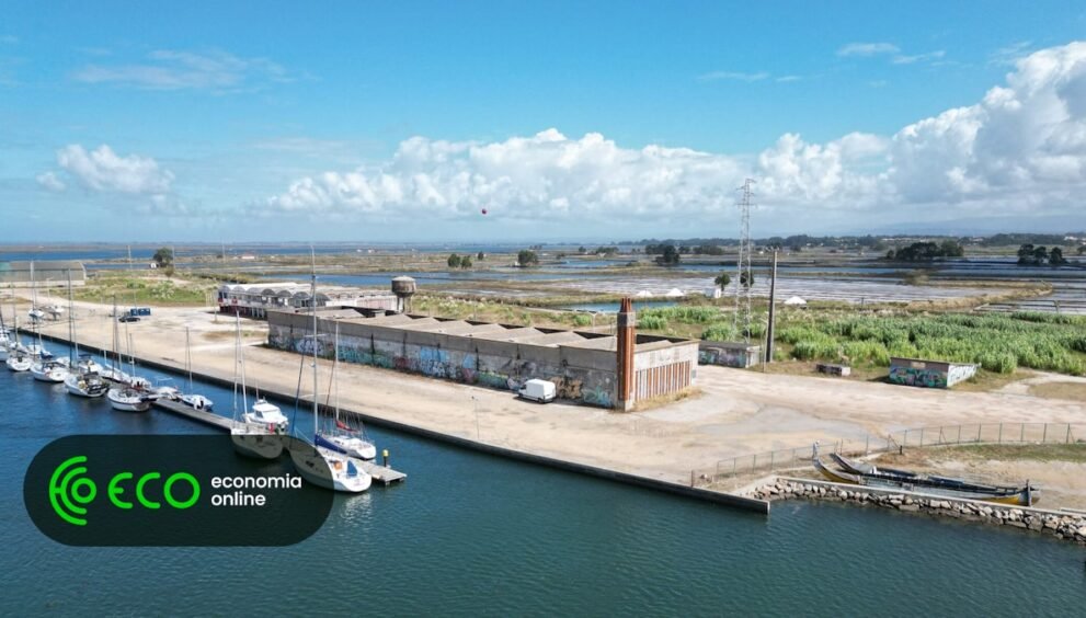Aveiro aprova projeto de execução do loteamento da antiga Lota