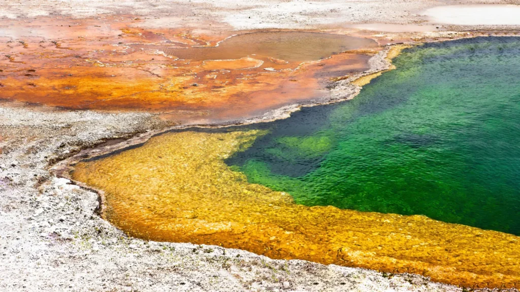 As fontes termais do Japão guardam pistas sobre as origens da vida na Terra