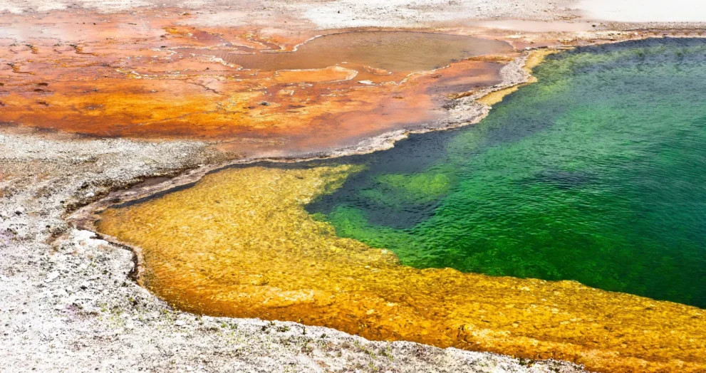 As fontes termais do Japão guardam pistas sobre as origens da vida na Terra