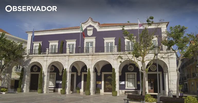 Candidata do PAN em Setúbal visa garantir presença na Assembleia Municipal