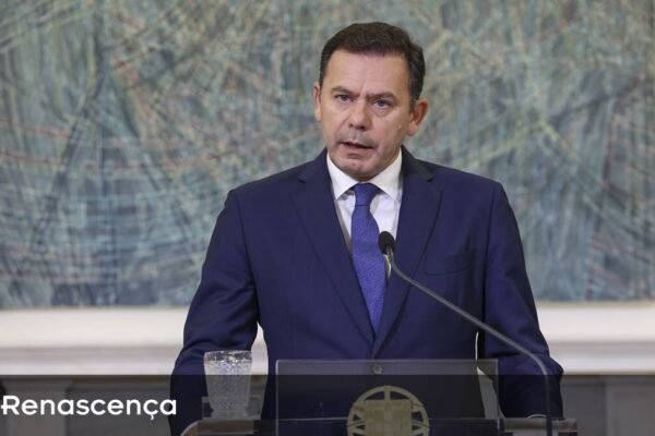 Montenegro solicita eurodeputados a intensificar luta contra a complexidade na agropecuária.