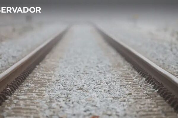 Movimento Gaia Verde Promove Caminhada Contra Alteração da Estação de TGV neste Domingo