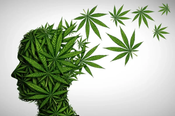 O uso de cannabis com tabaco pode prejudicar a "molécula da felicidade" do cérebro.