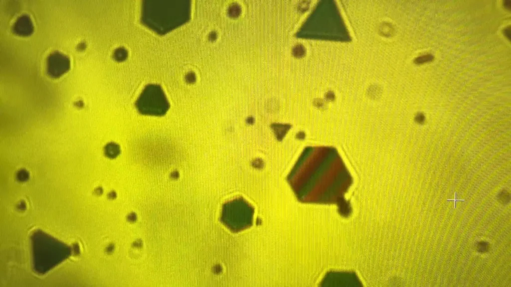 Flocos de Ouro Revelam as Forças Secretas que Unem Nosso Mundo