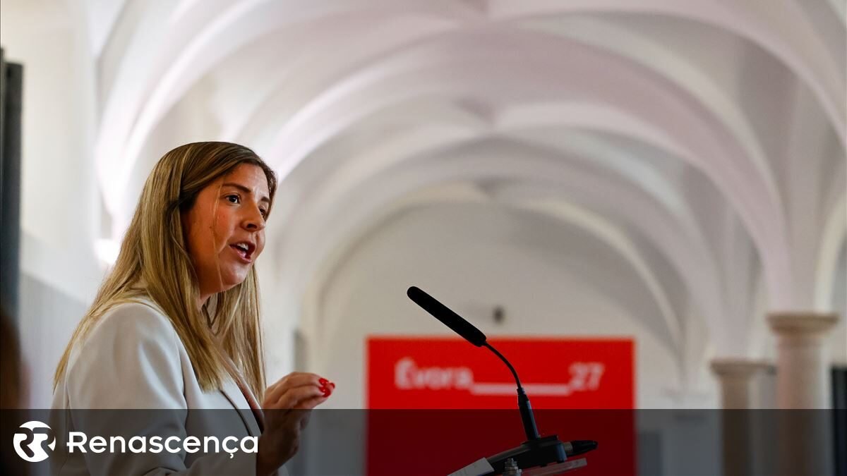 Executivo estabelece fundo de 1 milhão de euros para globalização na arte.