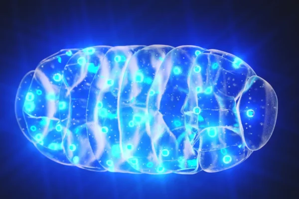 Cientistas descobrem nova forma de retardar o envelhecimento dentro das células