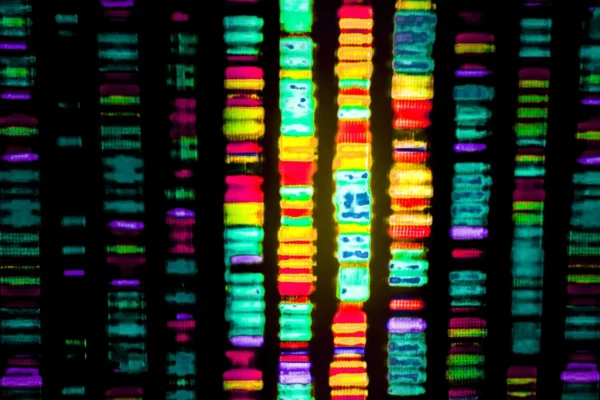 O mistério dos 98%: Cientistas decifram o código do "DNA lixo" relacionado ao Alzheimer