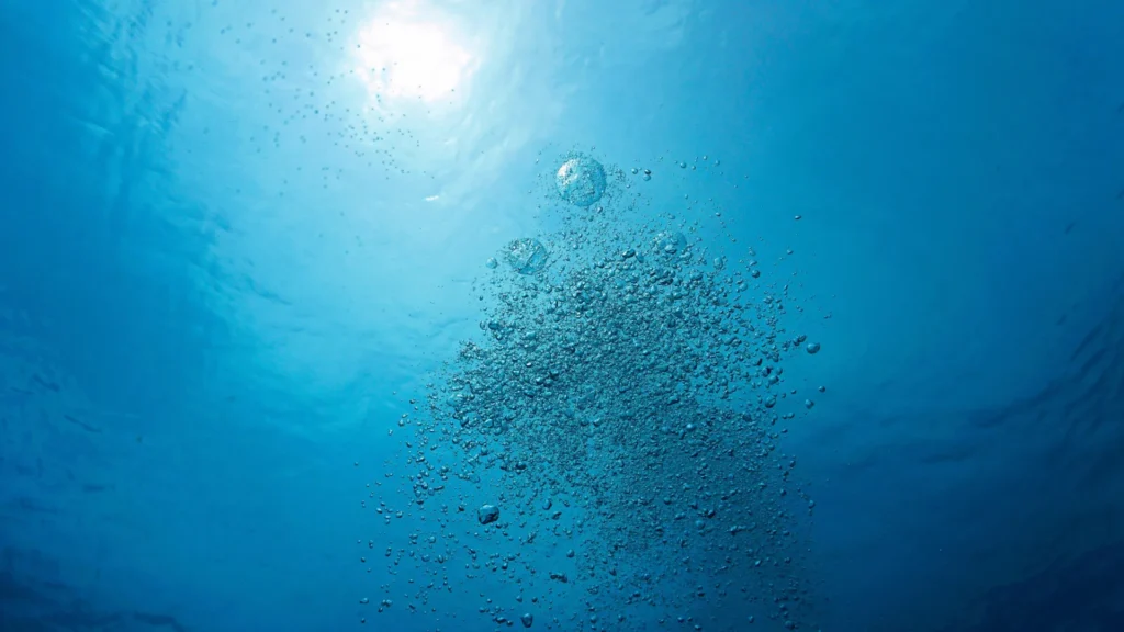 O oxigênio que você respira depende de um pequeno ingrediente do oceano