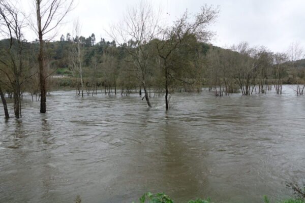 Alerta de Cheias no Rio Mondego nos Próximos Dias