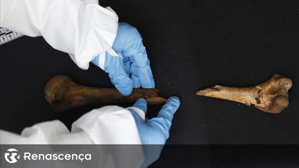 Colômbia descobre vestígios de sacerdote associado a facção guerrilheira falecido em 1966