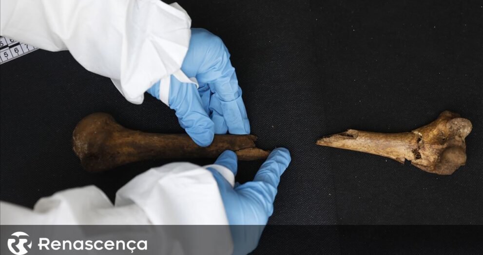 Colômbia descobre vestígios de sacerdote associado a facção guerrilheira falecido em 1966