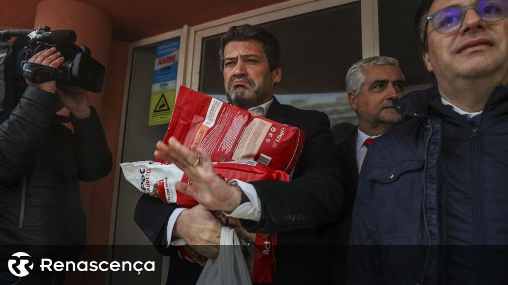 Imported Article – 2026-02-04 17:54:54