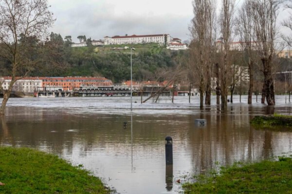 Coimbra prepara
